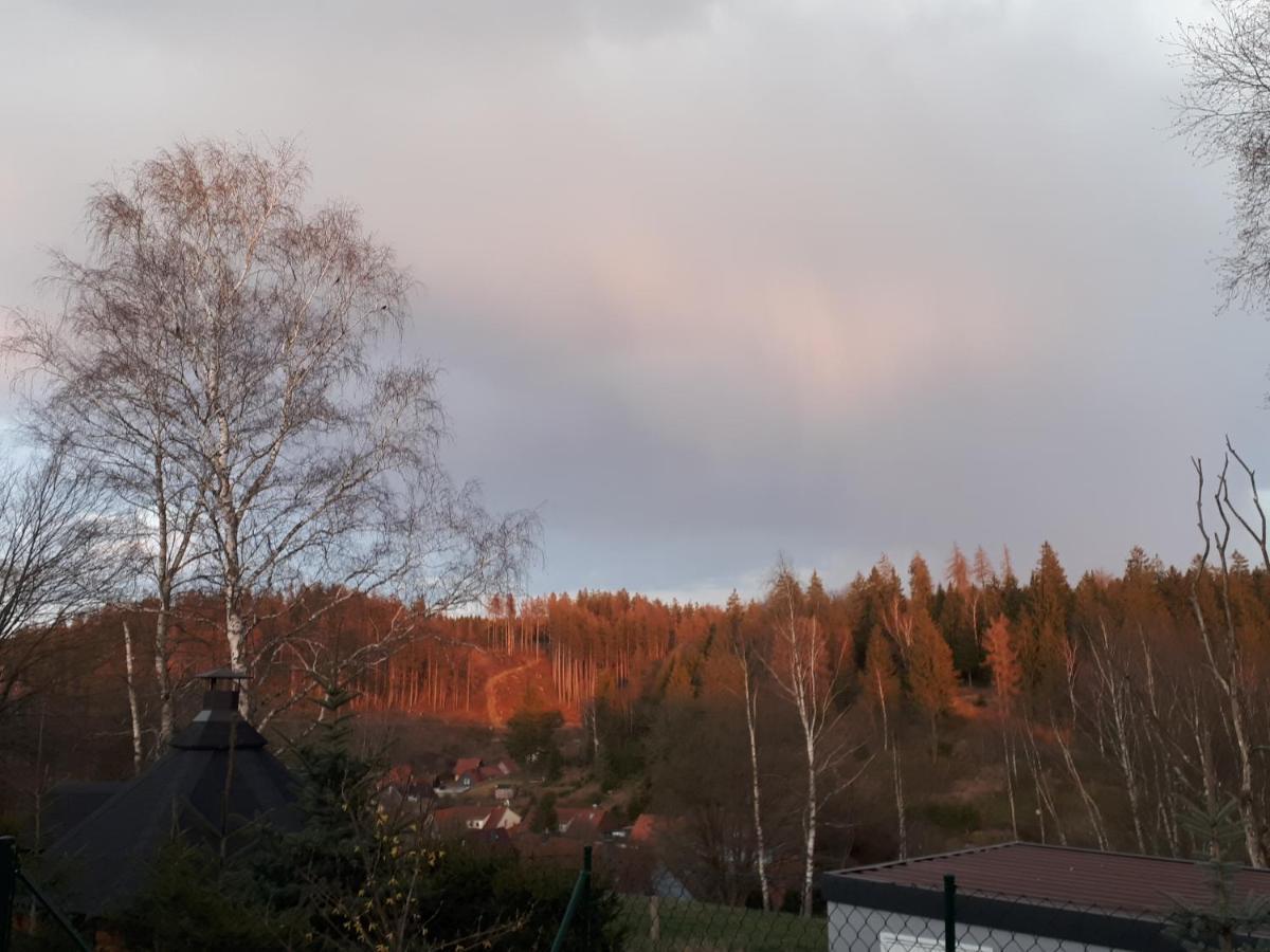 Behagliches Ferienhaus Zaunkoenig -Mit Kamin Und Sauna Tanne Extérieur photo